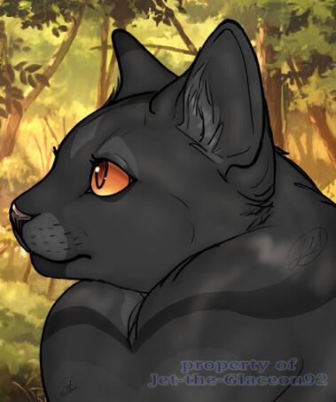 Shaded Headshot Example Shaded Headshot Example